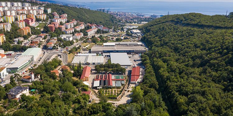 cvjecarstvo-doo-skurinje